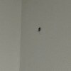 https://cdn-ostrovok-ru-ion.test.edgekey.net/t/100x100/hotel_review/32/da/32dad785b41cc44205b2855e3e0ef75180c278f3.jpeg