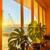 https://cdn-ostrovok-ru-ion.test.edgekey.net/t/100x100/hotel_review/33/3d/333d1b4122e81c4ae4f6afeee7e9af6f8f317ef6.JPEG