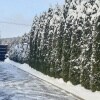https://cdn-ostrovok-ru-ion.test.edgekey.net/t/100x100/hotel_review/33/49/3349be85a0759cb65ff9f903eda1f84fa7c9bde8.JPEG