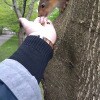 https://cdn-ostrovok-ru-ion.test.edgekey.net/t/100x100/hotel_review/33/51/3351a3a7dab0d76d3d176a2f57e4a02b2e129f35.JPEG