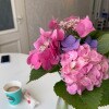 https://cdn-ostrovok-ru-ion.test.edgekey.net/t/100x100/hotel_review/33/6c/336cb412539cc2d8d4417af301adc4894d73517c.JPEG