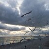 https://cdn-ostrovok-ru-ion.test.edgekey.net/t/100x100/hotel_review/33/82/33822c7bd4401fa82a226189b03e9d470a20ae8e.jpeg