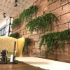https://cdn-ostrovok-ru-ion.test.edgekey.net/t/100x100/hotel_review/33/8d/338dc9c158d5669d74298e81dd93dea9a8b98887.jpeg