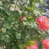 https://cdn-ostrovok-ru-ion.test.edgekey.net/t/100x100/hotel_review/33/ff/33ff0a1915d00d1c19d96389a736a043fd82dee2.JPEG