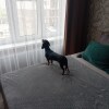 https://cdn-ostrovok-ru-ion.test.edgekey.net/t/100x100/hotel_review/34/02/3402d6d30b8510f9d146ebc6a21087ea8462163a.JPEG