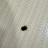 https://cdn-ostrovok-ru-ion.test.edgekey.net/t/100x100/hotel_review/34/73/3473b7dc388f6d181db1af91222162533e6ffead.JPEG