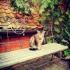 https://cdn-ostrovok-ru-ion.test.edgekey.net/t/100x100/hotel_review/35/0c/350ccc56178e7a2d62e335e46aa2c5c9cfba06e1.jpeg