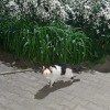 https://cdn-ostrovok-ru-ion.test.edgekey.net/t/100x100/hotel_review/35/1c/351c26138ae0571683f196b6a89819c76a5d6234.JPEG