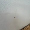 https://cdn-ostrovok-ru-ion.test.edgekey.net/t/100x100/hotel_review/35/28/352879edd3aab7ddb792f564f9fa465b81388a43.JPEG