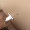 https://cdn-ostrovok-ru-ion.test.edgekey.net/t/100x100/hotel_review/35/43/35437a4b9b8263a12d85a5d619ae0949bf00b3ee.jpeg