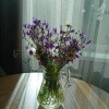 https://cdn-ostrovok-ru-ion.test.edgekey.net/t/100x100/hotel_review/35/67/3567c7573fedca1ce27b6a99ec6210184a11ef91.JPEG