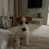 https://cdn-ostrovok-ru-ion.test.edgekey.net/t/100x100/hotel_review/35/7c/357c839dd6d3b72b71ffd8feed112061d4804c46.JPEG