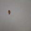 https://cdn-ostrovok-ru-ion.test.edgekey.net/t/100x100/hotel_review/36/0a/360ae4a8ef4282725fc6e18995b84c34804d2d17.JPEG