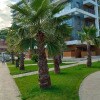 https://cdn-ostrovok-ru-ion.test.edgekey.net/t/100x100/hotel_review/36/1d/361d1e86740a02e3621b00b90618177f3491c6c9.JPEG