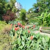 https://cdn-ostrovok-ru-ion.test.edgekey.net/t/100x100/hotel_review/36/23/3623b7e2c0ec93f68b7c0003d3403b8879f98a20.JPEG