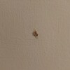 https://cdn-ostrovok-ru-ion.test.edgekey.net/t/100x100/hotel_review/36/45/364504a8253fcdc75622270f1ea7f70fabab56a2.JPEG