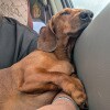 https://cdn-ostrovok-ru-ion.test.edgekey.net/t/100x100/hotel_review/36/4d/364d88533ddf881699a1be9cb40f66707c8f2776.JPEG