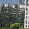 https://cdn-ostrovok-ru-ion.test.edgekey.net/t/100x100/hotel_review/36/55/3655863b00cfe83422d29c2c874e5e22fa9b4f4f.JPEG