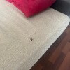 https://cdn-ostrovok-ru-ion.test.edgekey.net/t/100x100/hotel_review/36/72/36726b3a6eea16858bfcd1e2465d6504e3504929.JPEG