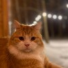 https://cdn-ostrovok-ru-ion.test.edgekey.net/t/100x100/hotel_review/36/7a/367a099332f7d8eb13d8c019feb191c11bd550ef.JPEG