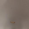 https://cdn-ostrovok-ru-ion.test.edgekey.net/t/100x100/hotel_review/36/7b/367b6cbc476be22c36b3528eabc34b7cec25a9c3.JPEG