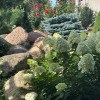 https://cdn-ostrovok-ru-ion.test.edgekey.net/t/100x100/hotel_review/36/a1/36a1648ed784c2d76adba361b661bff80c96ae8f.JPEG
