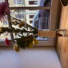https://cdn-ostrovok-ru-ion.test.edgekey.net/t/100x100/hotel_review/36/bf/36bf06cb3d02cdd830495d897bb30f148f657d1a.JPEG