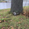 https://cdn-ostrovok-ru-ion.test.edgekey.net/t/100x100/hotel_review/37/06/370643500cdd9d109818c7bc1ab80c28f60cb0c1.JPEG