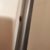 https://cdn-ostrovok-ru-ion.test.edgekey.net/t/100x100/hotel_review/37/9a/379abc53f87427ced71fc87d8d033ea1d0f6b10d.JPEG
