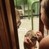 https://cdn-ostrovok-ru-ion.test.edgekey.net/t/100x100/hotel_review/37/e6/37e6fcdd0131384bba3059018c01e319dd012d56.JPEG