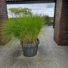 https://cdn-ostrovok-ru-ion.test.edgekey.net/t/100x100/hotel_review/38/18/38185521e583b5a14aea896e08d87d3c4fa3db04.JPEG