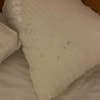 https://cdn-ostrovok-ru-ion.test.edgekey.net/t/100x100/hotel_review/38/65/38654bbab86d2df7e226a28aad9a7ed67736c108.JPEG