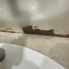 https://cdn-ostrovok-ru-ion.test.edgekey.net/t/100x100/hotel_review/39/40/39407bb98b0d4d472b9e64360d6fa8a1ef142ad0.JPEG
