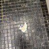 https://cdn-ostrovok-ru-ion.test.edgekey.net/t/100x100/hotel_review/39/74/397452065f908bd53d41130e6ed2a2fa99a47437.JPEG
