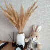 https://cdn-ostrovok-ru-ion.test.edgekey.net/t/100x100/hotel_review/39/7c/397c2a897db70421a6eb61f1e33fb603cb51f394.JPEG