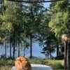 https://cdn-ostrovok-ru-ion.test.edgekey.net/t/100x100/hotel_review/3a/2b/3a2b783b230b8606f85f4d4d97b5f9e250b467e2.JPEG