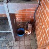 https://cdn-ostrovok-ru-ion.test.edgekey.net/t/100x100/hotel_review/3a/79/3a79002436bbfa0d7c0ebe49341b3f4bbc614a12.JPEG