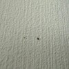 https://cdn-ostrovok-ru-ion.test.edgekey.net/t/100x100/hotel_review/3a/a6/3aa6a285e0e9b56099391ddb4e2920d7d79a3373.JPEG