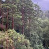 https://cdn-ostrovok-ru-ion.test.edgekey.net/t/100x100/hotel_review/3a/af/3aaf1670dea40a57f7bd0e1db4137af57bd5fd90.JPEG
