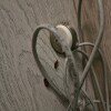 https://cdn-ostrovok-ru-ion.test.edgekey.net/t/100x100/hotel_review/3a/b1/3ab1dfc55be1d876843be05d6a05cad49b29a62e.JPEG