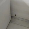 https://cdn-ostrovok-ru-ion.test.edgekey.net/t/100x100/hotel_review/3a/f6/3af6fdbffc231a5d781d2d092af00cf2de1a1060.JPEG