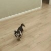 https://cdn-ostrovok-ru-ion.test.edgekey.net/t/100x100/hotel_review/3b/1e/3b1e836dc01873ca8f00423f06949fdcafa94aee.JPEG