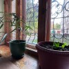 https://cdn-ostrovok-ru-ion.test.edgekey.net/t/100x100/hotel_review/3b/25/3b25f818121ce34f24b0c65ee7ca52d561bfbbbf.JPEG