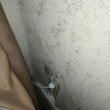 https://cdn-ostrovok-ru-ion.test.edgekey.net/t/100x100/hotel_review/3b/3c/3b3cf02b5e6d7645f6d4e3c8f489f6c947a049e7.JPEG
