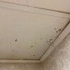 https://cdn-ostrovok-ru-ion.test.edgekey.net/t/100x100/hotel_review/3b/4c/3b4cb53cb47c526a8825a4cf36b380aca010c228.jpeg