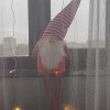 https://cdn-ostrovok-ru-ion.test.edgekey.net/t/100x100/hotel_review/3b/74/3b7433a7103bd3df819c6c0c79c72280edb00f3b.JPEG
