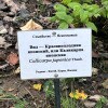 https://cdn-ostrovok-ru-ion.test.edgekey.net/t/100x100/hotel_review/3b/7e/3b7effa076602f7ef5009df8f6bcdefa8345cc64.JPEG