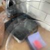 https://cdn-ostrovok-ru-ion.test.edgekey.net/t/100x100/hotel_review/3b/83/3b83efc2503e1033056df3369a8fa6ef128ee04c.JPEG