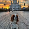https://cdn-ostrovok-ru-ion.test.edgekey.net/t/100x100/hotel_review/3b/92/3b92d65ac9f2b3d7feec19403e2773c103248c2b.JPEG