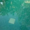 https://cdn-ostrovok-ru-ion.test.edgekey.net/t/100x100/hotel_review/3b/a1/3ba10de2b2efdd41b073efa90b6211eb12b4ab8d.JPEG